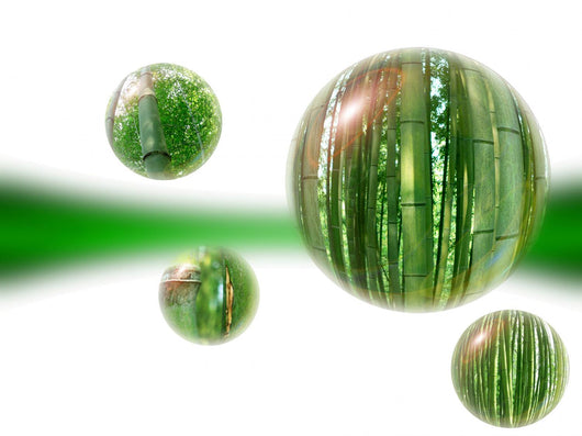 bamboo orbs Wall Mural