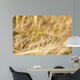 Close-Up of Ripe Wheat Wall Mural