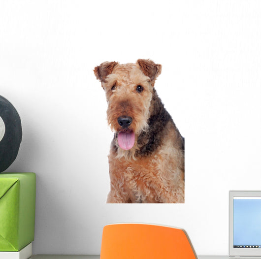 Nice airedale terrier breed dog Wall Decal