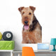 Nice airedale terrier breed dog Wall Decal