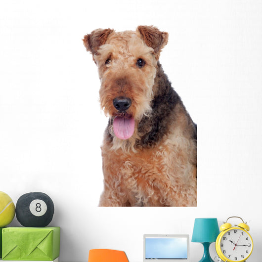 Nice airedale terrier breed dog Wall Decal