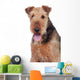 Nice airedale terrier breed dog Wall Decal