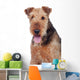 Nice airedale terrier breed dog Wall Decal