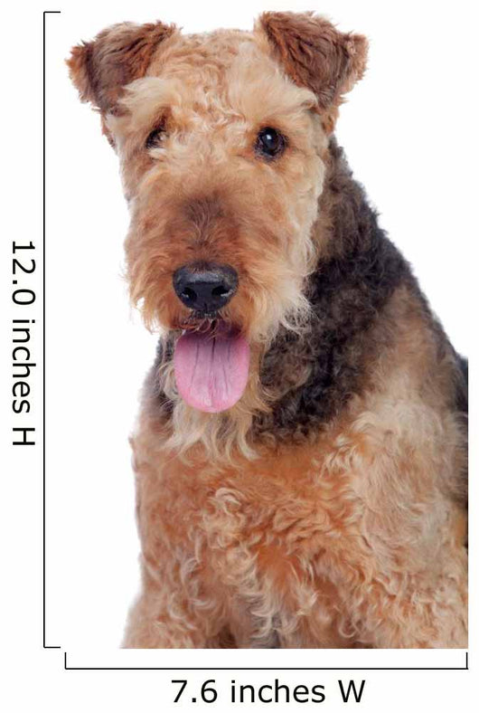 Nice airedale terrier breed dog Wall Decal