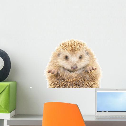 Hedgehog
