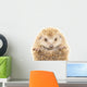 Hedgehog