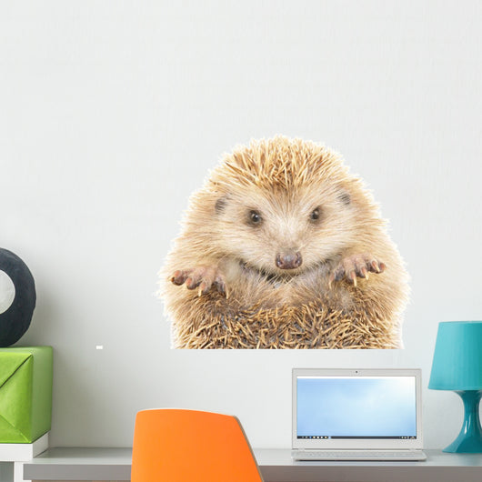 Hedgehog