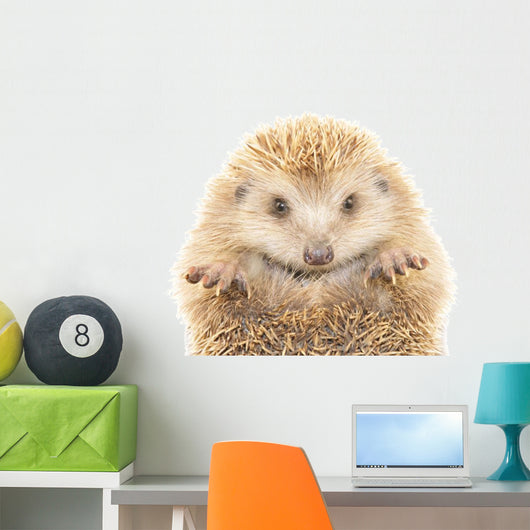 Hedgehog