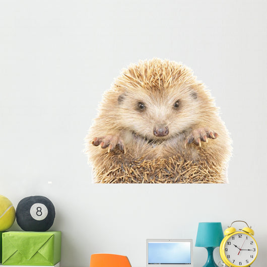 Hedgehog