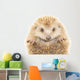 Hedgehog