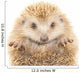 Hedgehog
