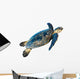 Hawksbill Sea Turtle Eretmochelys Imbricata on White Wall Decal