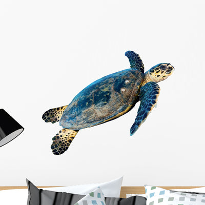Swimming Hawksbill Sea Turtle Wall Decal shown on a wall