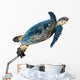Hawksbill Sea Turtle Eretmochelys Imbricata on White Wall Decal