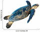 Hawksbill Sea Turtle Eretmochelys Imbricata on White Wall Decal