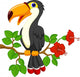 Cute toucan bird cartoon Wall Decal