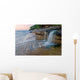 Miners Beach Cascade Pictured Rocks National Lakeshore Wall Mural