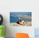Spanish Lazy Cat Wall Mural