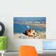 Spanish Lazy Cat Wall Mural