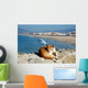 Spanish Lazy Cat Wall Mural