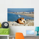 Spanish Lazy Cat Wall Mural