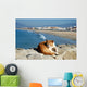Spanish Lazy Cat Wall Mural