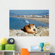 Spanish Lazy Cat Wall Mural