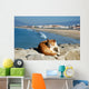 Spanish Lazy Cat Wall Mural