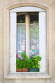 Traditional Window Whith Flowers