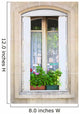 Traditional Window Whith Flowers