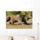 Komodo Dragon Varanus Komodoensis Wall Mural