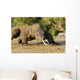 Komodo Dragon Varanus Komodoensis Wall Mural