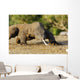 Komodo Dragon Varanus Komodoensis Wall Mural