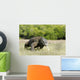 Komodo Dragon Varanus Komodoensis Wall Mural