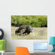 Komodo Dragon Varanus Komodoensis Wall Mural