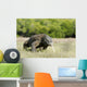 Komodo Dragon Varanus Komodoensis Wall Mural