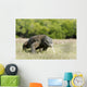 Komodo Dragon Varanus Komodoensis Wall Mural
