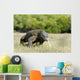Komodo Dragon Varanus Komodoensis Wall Mural