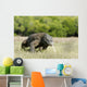 Komodo Dragon Varanus Komodoensis Wall Mural
