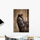 Pferdeportrait Wall Mural