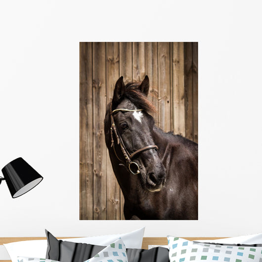 Pferdeportrait Wall Mural