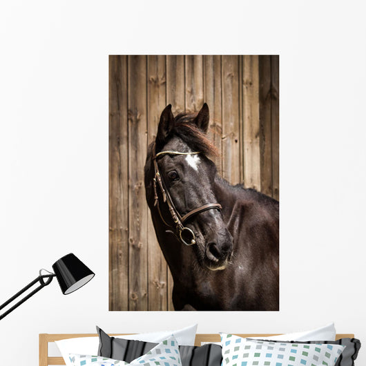 Pferdeportrait Wall Mural
