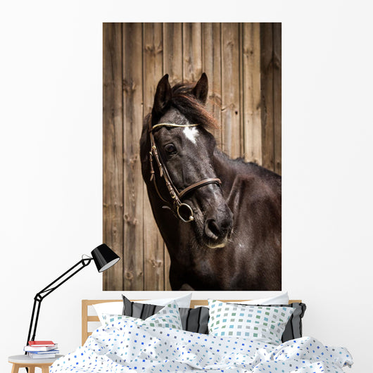 Pferdeportrait Wall Mural