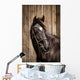 Pferdeportrait Wall Mural