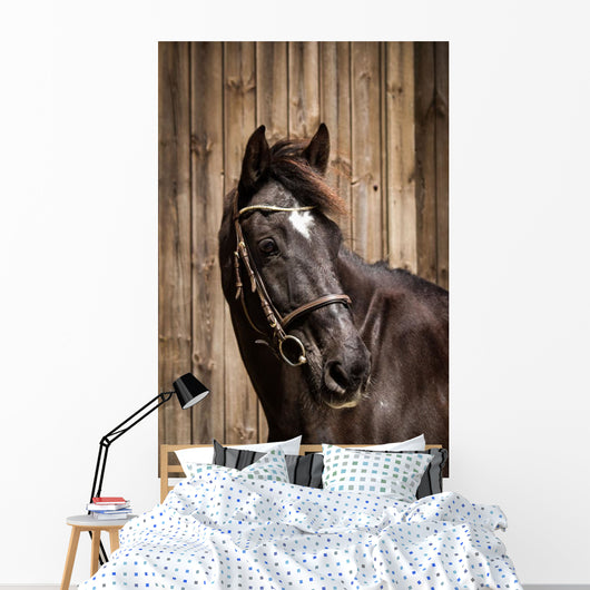 Pferdeportrait Wall Mural
