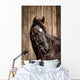 Pferdeportrait Wall Mural