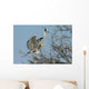 grey heron, ardea cinerea Wall Mural
