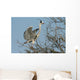 grey heron, ardea cinerea Wall Mural
