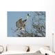 grey heron, ardea cinerea Wall Mural
