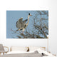 grey heron, ardea cinerea Wall Mural